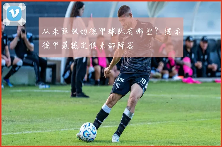 从未降级的德甲球队有哪些？揭示德甲最稳定俱乐部阵容