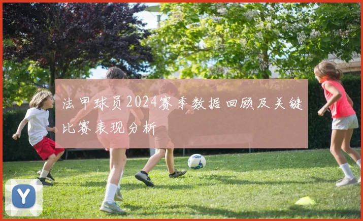 法甲球员2024赛季数据回顾及关键比赛表现分析