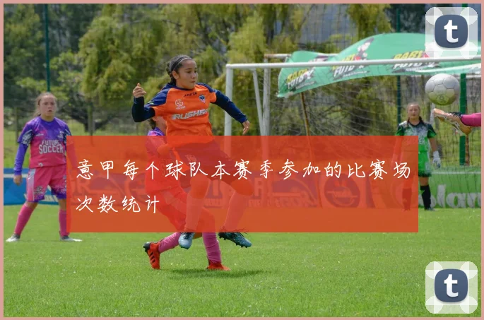 意甲每个球队本赛季参加的比赛场次数统计