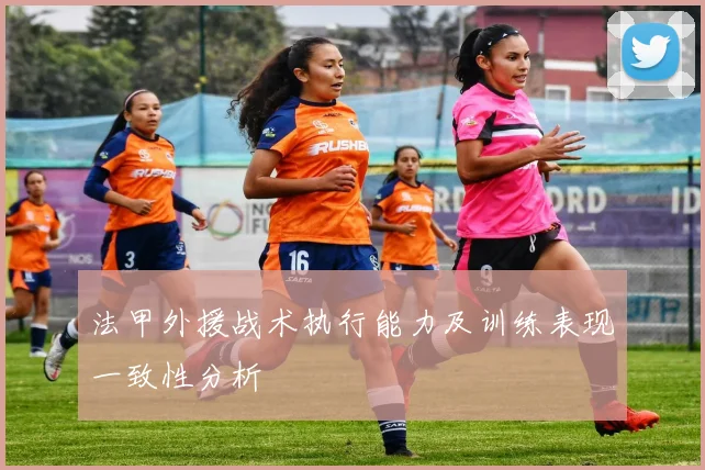 法甲外援战术执行能力及训练表现一致性分析