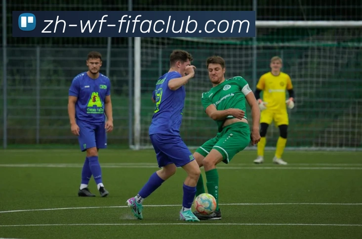 世界杯直播品牌故事