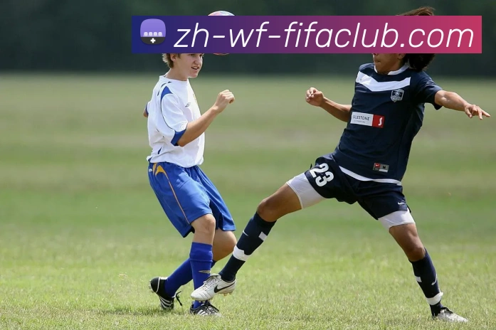 世界杯直播服务体系