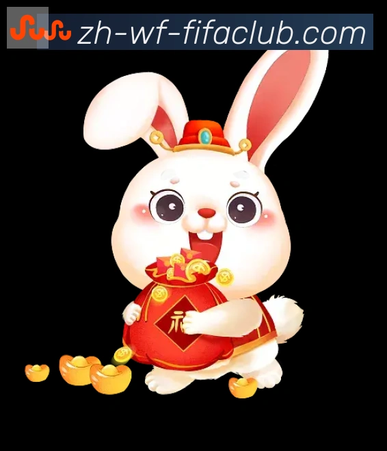 未来规划